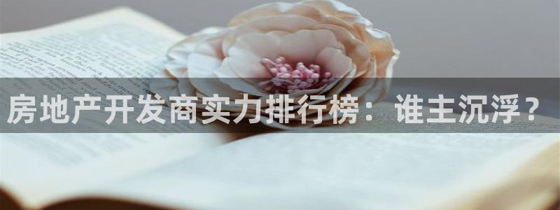 滨州永利集团