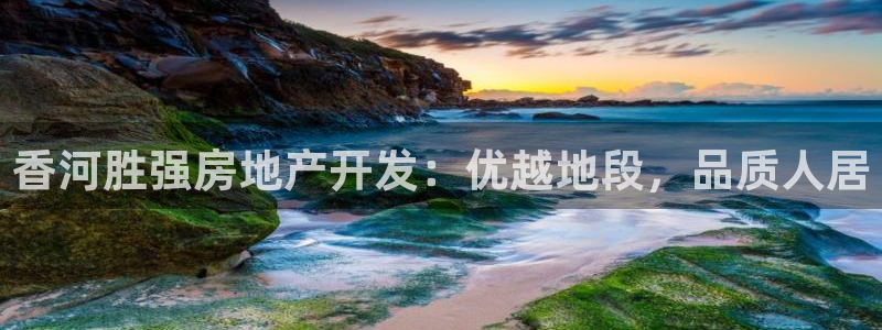 永利股份(300230)