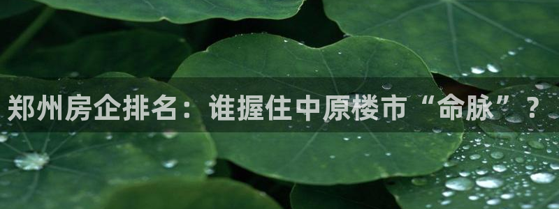 永利现场