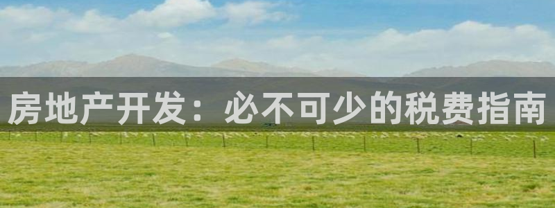 永利保险公司排名