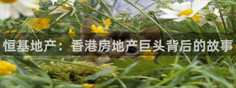 永利正版