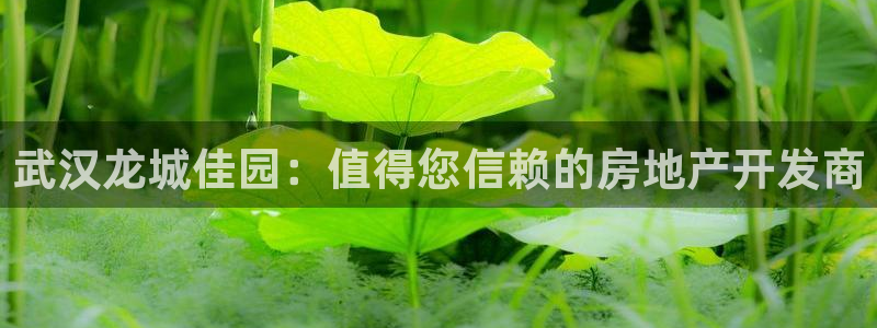 忘了永利集团的网址了