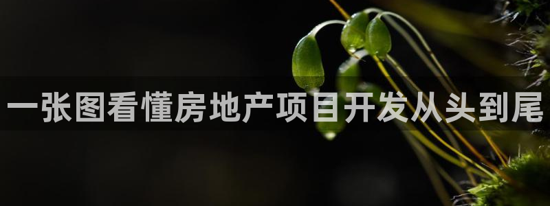 永利官网中文
