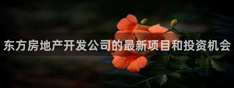 永利网9900777邀请码