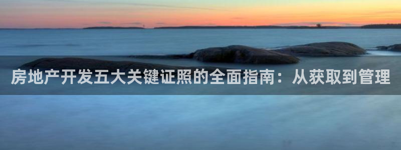 永利股份是做什么的