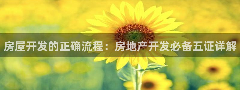 永利是做什么的