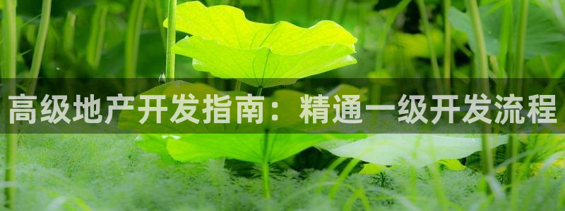 永利官网误乐域一个币多少钱