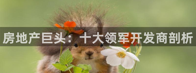 永利置业