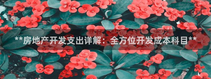 永利网怎么了打不开