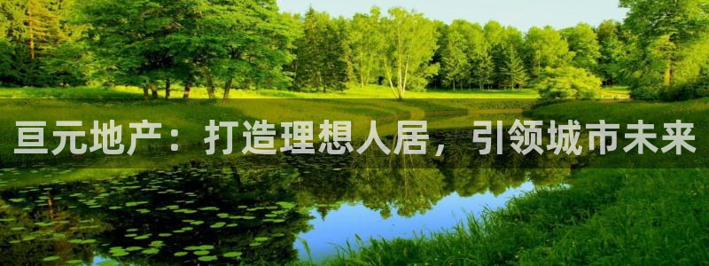 永利黄府黄立青信鸽图片