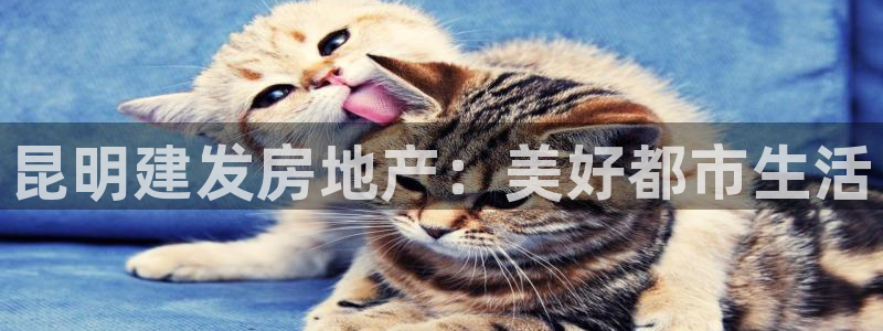 永利乳业
