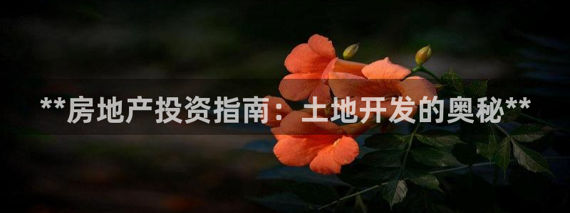 永利网是不是真的假的