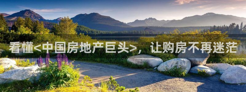 浙江永利集团