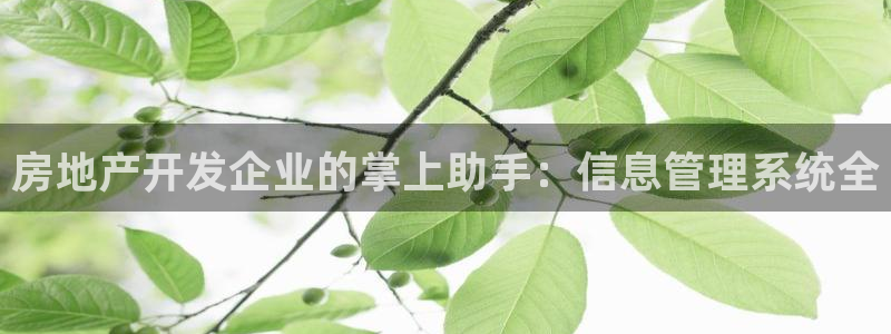 永利网是干什么的,能挣到钱吗?