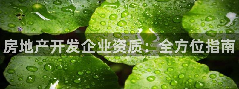 永利娱城