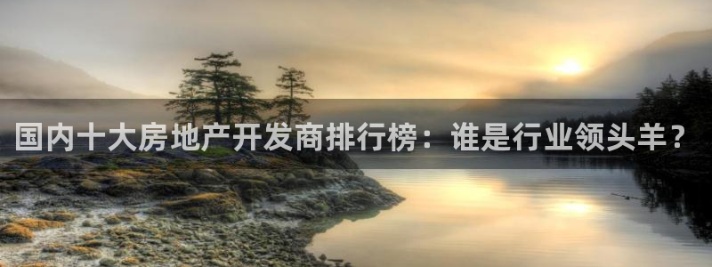 永利皮带官网价格查询系统