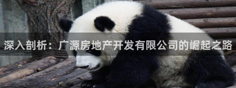 永利股份做什么
