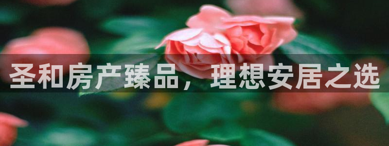 永利中国集团