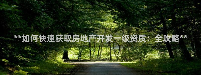 永利集团简介