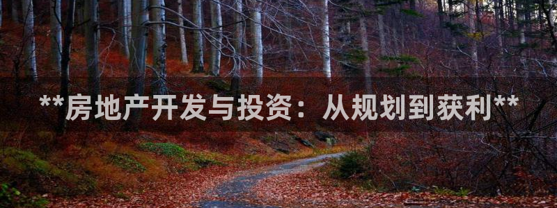 鄂尔多斯永利煤矿老板