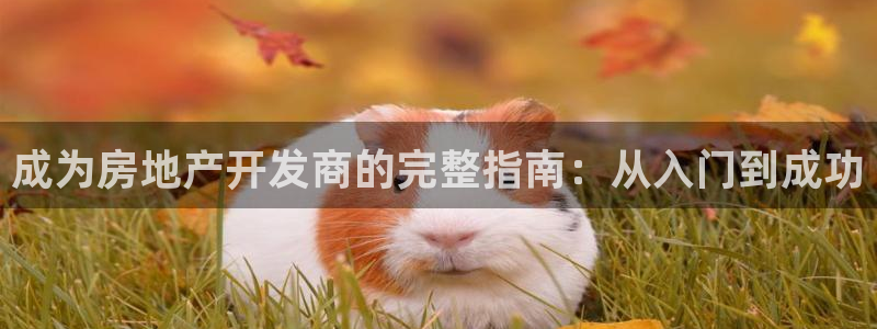 永利输的钱可以弄回来吗