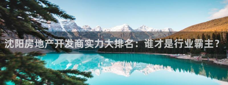 永利厂牌