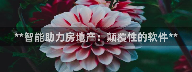 永利中国