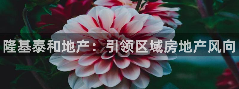 永利服装有限公司