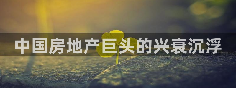 永利官网误乐域一个币多少钱