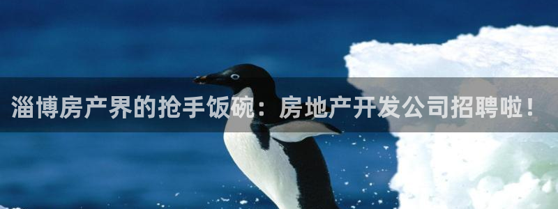 永利公司是做什么的
