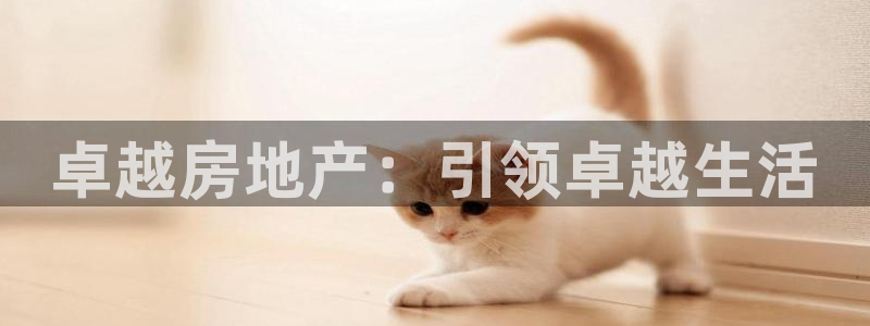 永利中国集团
