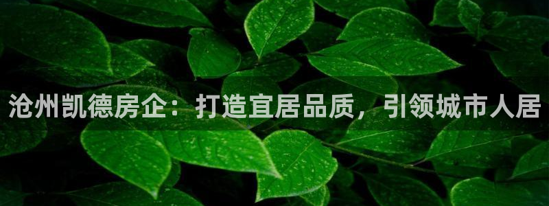 永利置业
