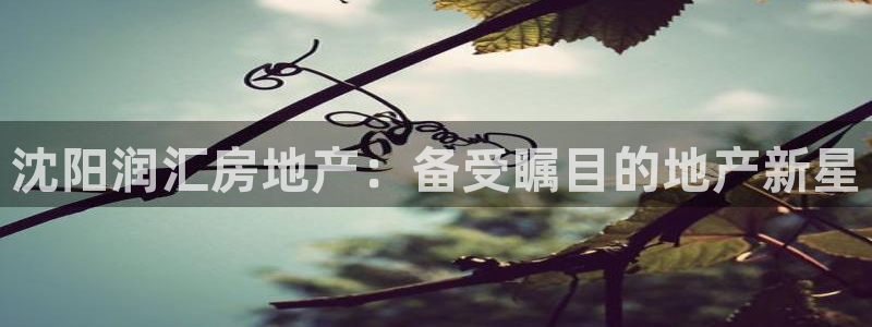 永利带业招聘