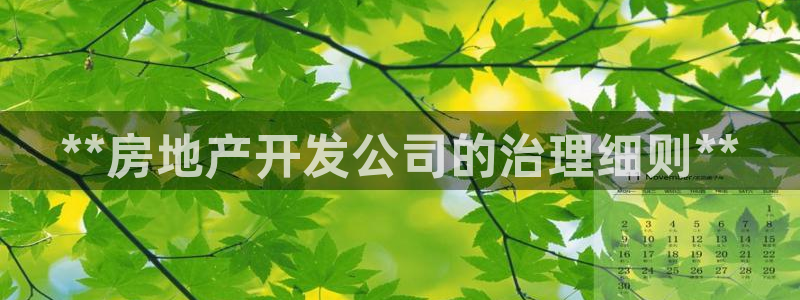 永利集团3044浏览器