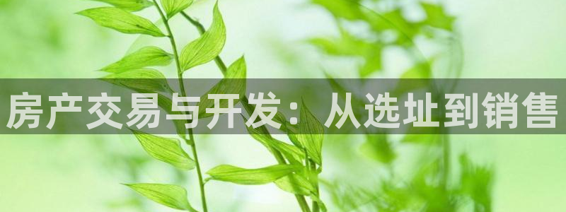 永利账号交易