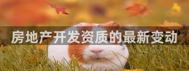 永利不给提款怎么办?