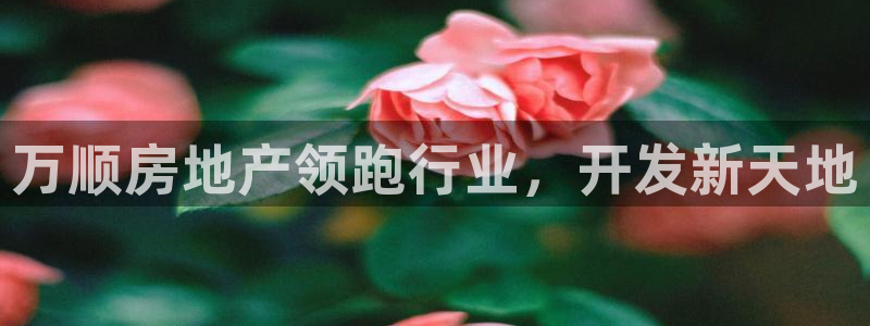 永利餐饮管理有限公司