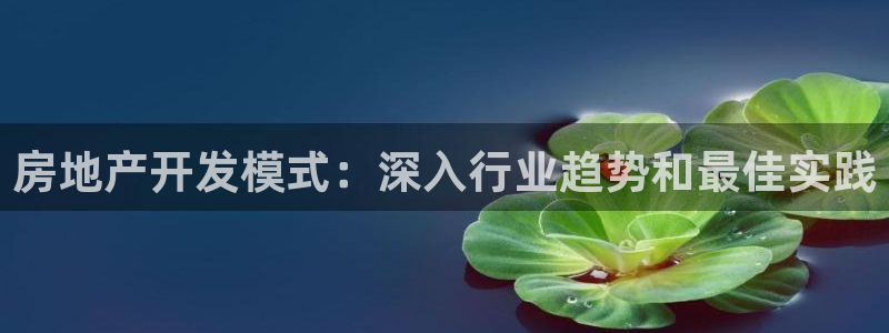 鄂尔多斯永利煤矿老板