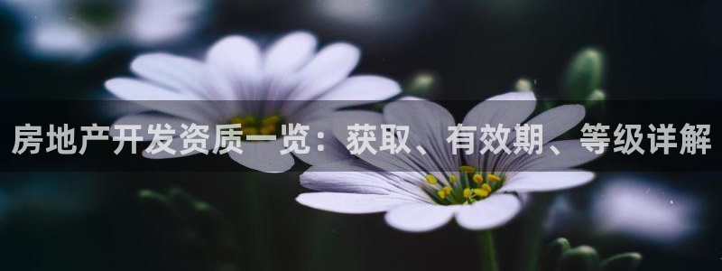 永利地产工程有限公司