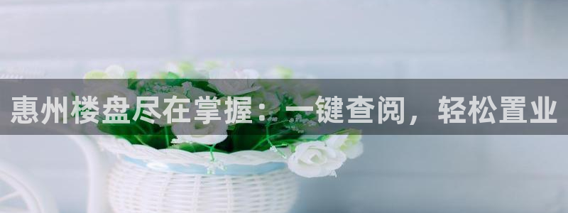 永利皮带