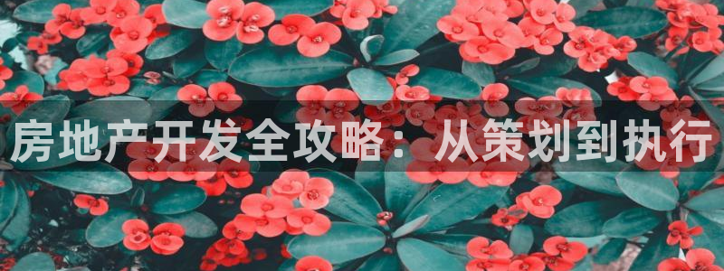 永利骗局