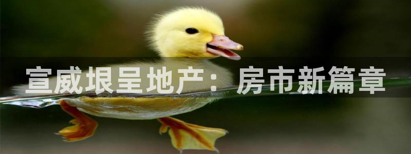 永利带业高管人员