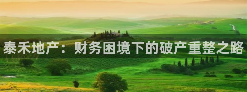 永利股份公告