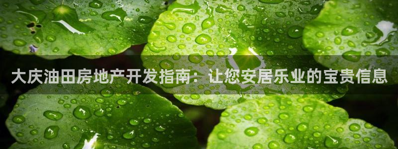 永利带业集团2020年的业绩状况