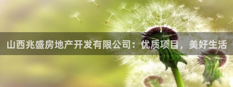 永利来织带