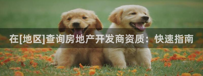 永利箱包厂