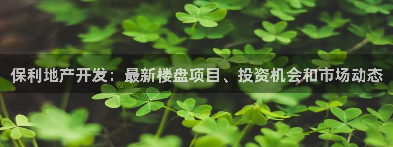 永利汇茶具怎么样