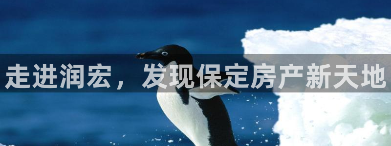 永利皮带官网旗舰店地址