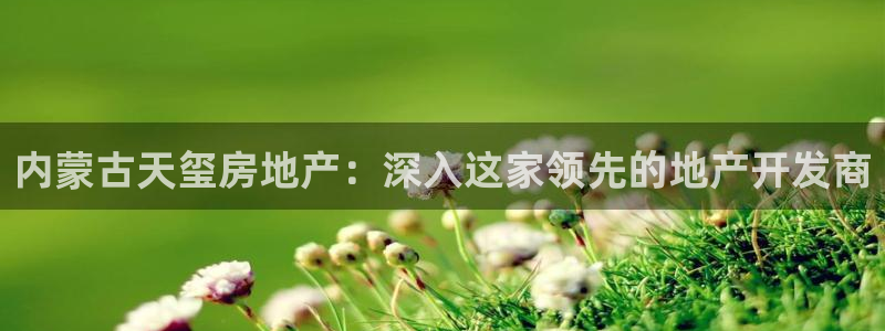 永利中国的老板是谁