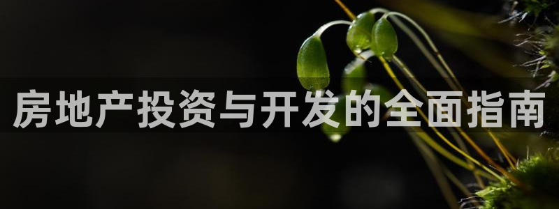 谁知道永利的网址